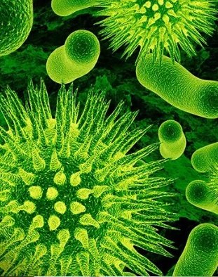 Células microbianas